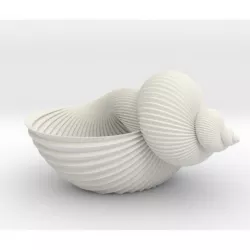 Shell Planter