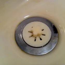 Sink Drain Screen #1