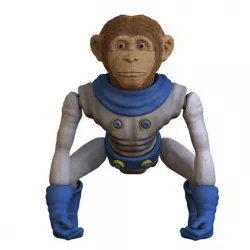 Space Monkey