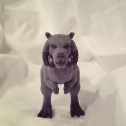 Tauntaun