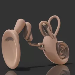 The Educative Eardrum