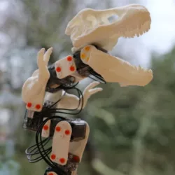 The Ergosaurus Rex (Poppy Ergo Jr with T-Rex 3D printed parts)