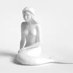 Thinking Mermaid