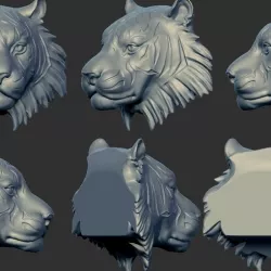 Tiger Head