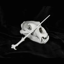 Voldemort wand - Harry Potter films 3D print model