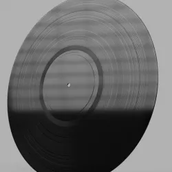 vynil