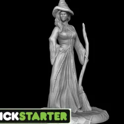 Witch - Kickstarter Model