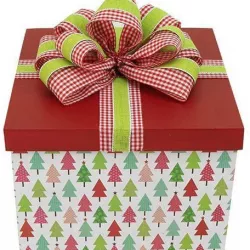3D CHRISTMAS GIFT (stl)