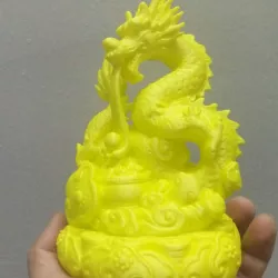 Absorb wealth dragon