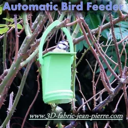 Automatic Bird Feeder