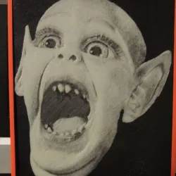 Batboy