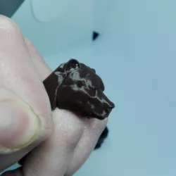 bear ring