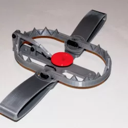 Bear Trap Fix