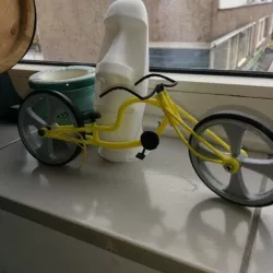 bicycle lowglider model