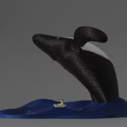Big Whale Jumping