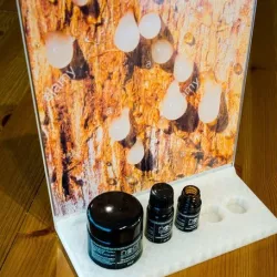 Bosswelia Sacra Essential oils exhibition stand