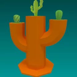 Cactus pot