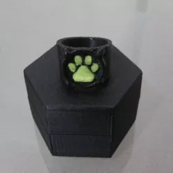 Chat Noir's Ring