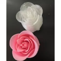 Closed Rose