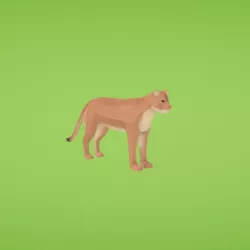 Cougar