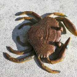 Crab
