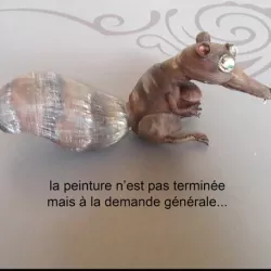 crazy squirrel