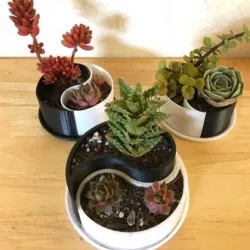 Customizable Yin-Yang Planter / Container