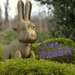 Cute Rabbit