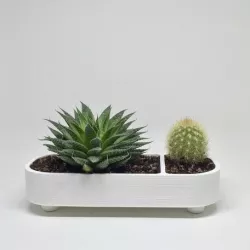 Divided Succulent Planter