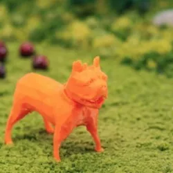 French Bulldog