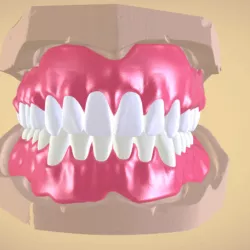 Full Dentures with Many Production Options
