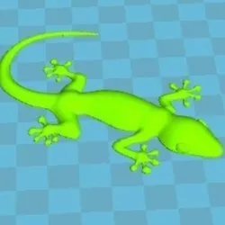 gecko