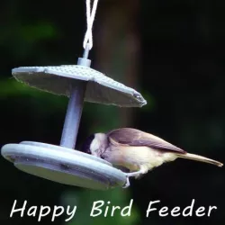 Happy Bird Feeder