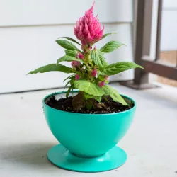 IKEA Lamp - Flower Pot Conversion