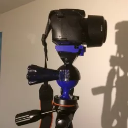 Kneecap for vanguard