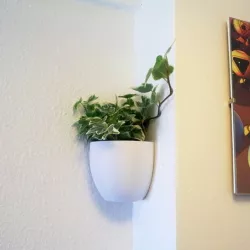 Little Planter
