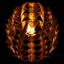 MantRa Rays