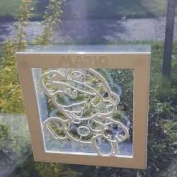 Mario 3D Frame