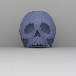Minecraft Skull