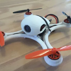 Mini Quadcopter fpv Racer 120mm micro FC lumenier racing F4 Brushless 1103 10.000kv 2S