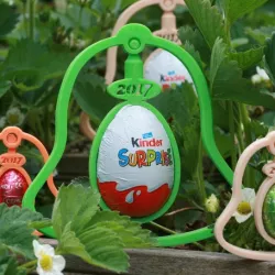 Mr & Miss Pack Bell