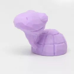 Myrtle the Turtle