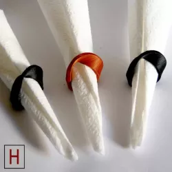 Napkin ring - Mobius strip