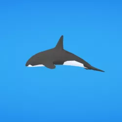 Orca