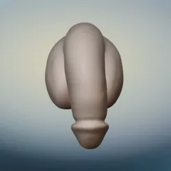 Packing Dildo