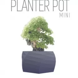 Parametric Plant Pot - 10cm, super thin walls