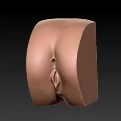Penetrable realistic butt toy