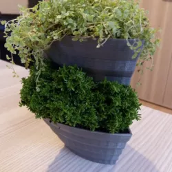 planter