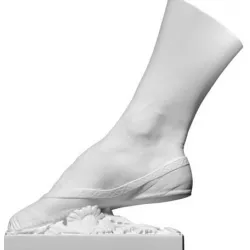 Right Foot of the Dancer Fanny Elssler