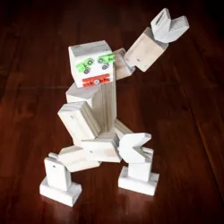Robot